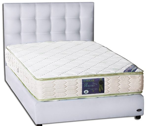 רקורד פילוטופ